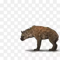 狮子斑鬣狗-鬣狗PNG