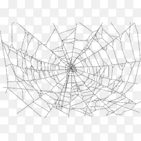 蜘蛛网-蜘蛛网png文件