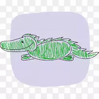 鳄鱼-鳄鱼
