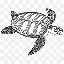 海龟黑白画片艺术-绿海龟剪贴画