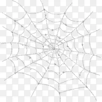 蜘蛛网-白色蜘蛛网