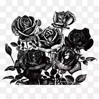 玫瑰剪贴画-黑色玫瑰