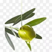 橄榄油-橄榄