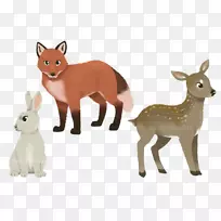 马鹿，野兔，羚羊，动物-林地