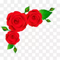 玫瑰红色剪贴画-红玫瑰边框