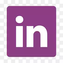 LinkedIn计算机图标社交网络服务专业网络服务-社交媒体图标