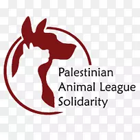 动物原因狗宠物收容所-巴勒斯坦圣城