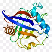 磷酸三醋酸酯异构酶核酸序列