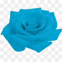 蓝玫瑰花园玫瑰花瓣玫瑰