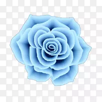 花园玫瑰蓝玫瑰蜈蚣玫瑰画框.空间花