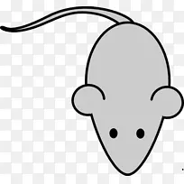 电脑鼠标Minnie鼠标绘图剪贴画电脑鼠标