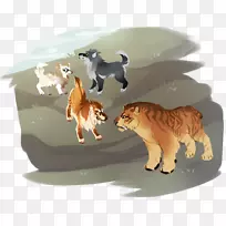 大猫美洲狮野生动物猫科动物