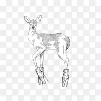 驯鹿羚羊包装动物线艺术素描驯鹿