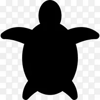 海龟电脑图标龟