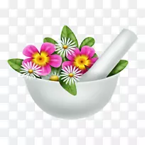 花盆餐具开花植物草本植物-花