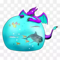 海豚、鲨鱼、海豚、海洋生物、鲸目动物.膨胀体
