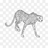 狮子豹美洲虎剪贴画-狮子