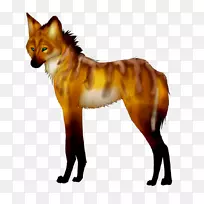 红狐毛嘴野生动物-狐狸