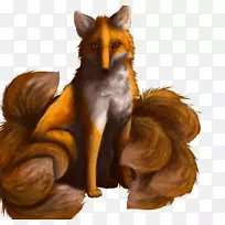 红狐皮野生动物狐狸新闻-狐狸