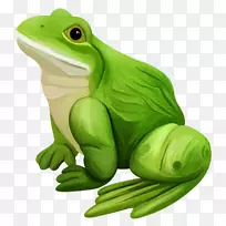 真正的青蛙食用青蛙