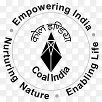 印度煤炭开采企业-印度