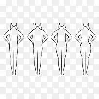 女性体型人体女性腰型