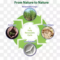 生物降解环保型材料堆肥-NO对发泡胶的影响