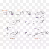 嵌段共聚物肽开环聚合途径png