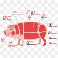 猪肉猪肉食品-猪