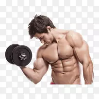 腹部运动重量训练体能.模型