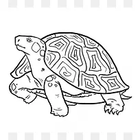 鳄鱼抓取海龟画爬行动物铅笔-海龟画