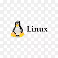 技术linux计算机服务器品牌产品设计-徽标linux