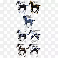 马传奇生物插图包装动物小说-北极光壁纸x