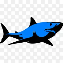 鲨鱼 大白鲨 绘画