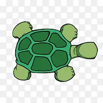 绿色 乌龟 海龟