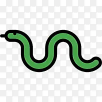 绿色 蛇 有鳞爬行动物