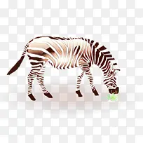 斑马 野生动物 动物形象