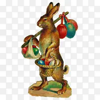 兔子 兔子和兔子 复活节兔子