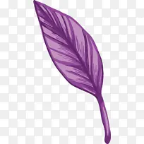 紫色 羽毛