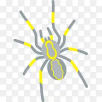 卡通蜘蛛 昆虫 黄色