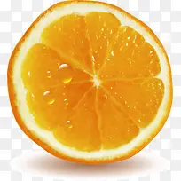 矢量图水彩橙子水果