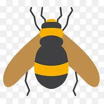 蜜蜂矢量卡通昆虫标本