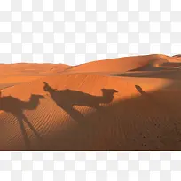 金色沙漠夕阳骆驼影子