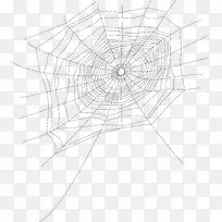 手绘素材卡通蜘蛛网图片 卡通手