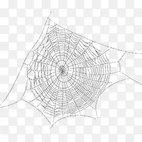 蜘蛛网卡通手绘蜘蛛网