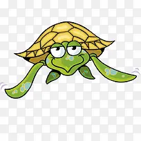 卡通乌龟泡海龟正面