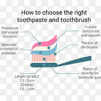 如何选择合适的牙膏信息图表矢量