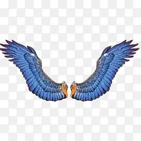 手绘蓝色大天使翅膀PNG透明背景素材
