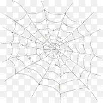 白色蜘蛛网