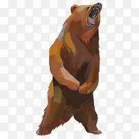 手绘棕熊